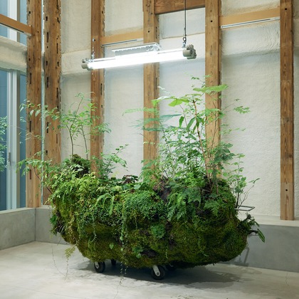 大内カオリが撮影した「:albumName」の写真