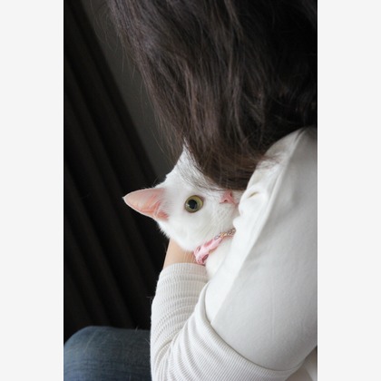 渡邉博海が撮影した家族写真の出張撮影の写真