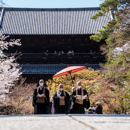 株式会社バックオフィスアクティが撮影した「:albumName」の写真