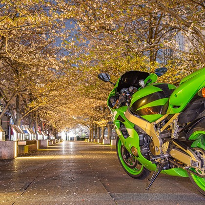 酒井 真於が撮影したその他の写真