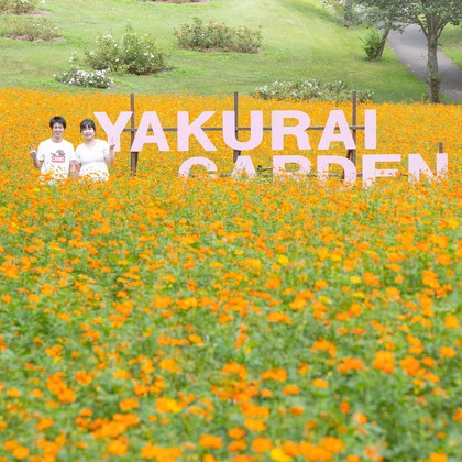 おくやま映像Laboが撮影した「:albumName」の写真