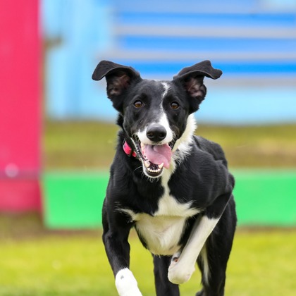 スタジオファンタスが撮影した「:albumName」の写真