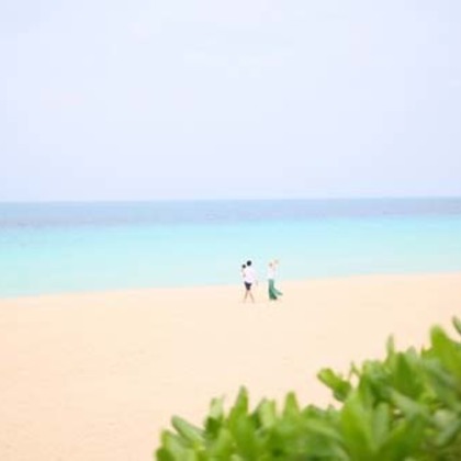 今泉真也が撮影した「:albumName」の写真