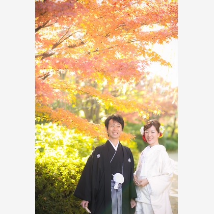 studio zeroが撮影したウェディングや家族、ビジネスの写真