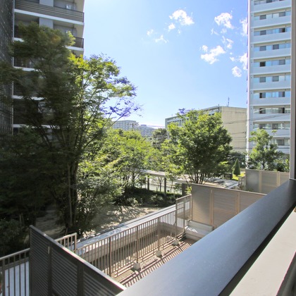 渡邉博海が撮影した「:albumName」の写真