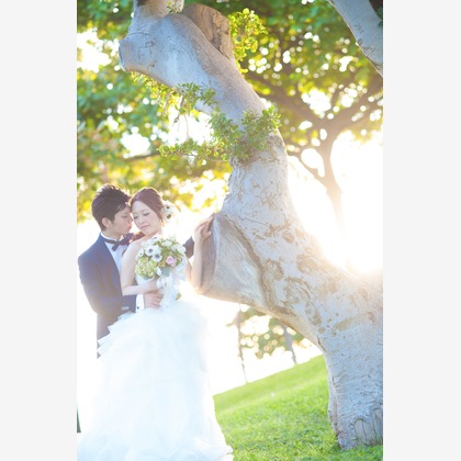 éclat photographyが撮影したウェディングや家族、ビジネスの写真