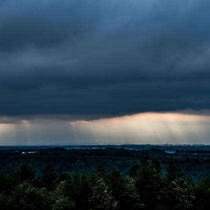 吉田　亘が撮影したその他の写真