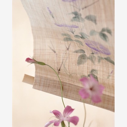 有限会社スタジオホリデーが撮影した「:albumName」の写真