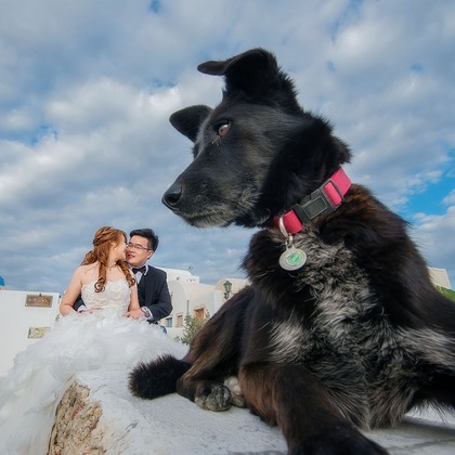 Photo of :albumName taken by 2 of us photography