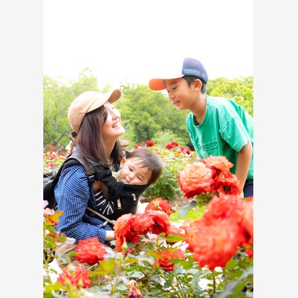 PhotoBaseありよしが撮影した家族写真の出張撮影/七五三フォト/お宮参り/旅行先の記念撮影の写真