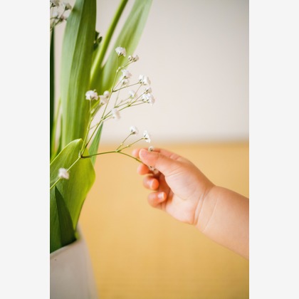 しゃしんのえほんが撮影した「:albumName」の写真