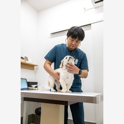 吉田佳央が撮影した「:albumName」の写真