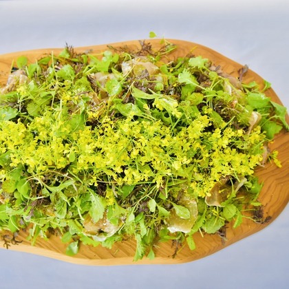 Photo of :albumName taken by タコヤキ