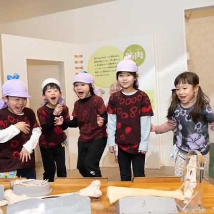 佐野将人が撮影した「:albumName」の写真