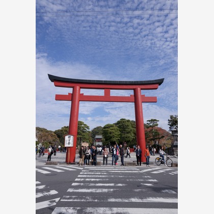 猫田晃広が撮影した「:albumName」の写真