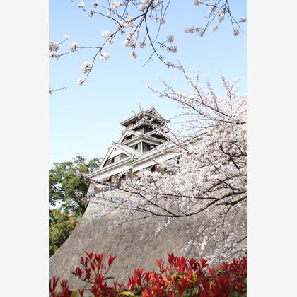 blink photoが撮影したウェディングや家族、ビジネスの写真