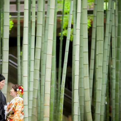 京都好日 (Murata Photo Works)が撮影したウェディングや家族、ビジネスの写真