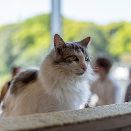 沖山俊樹が撮影した「:albumName」の写真