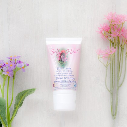 なかがわさとみが撮影した「:albumName」の写真