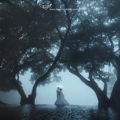 Trust photoが撮影した「:albumName」の写真