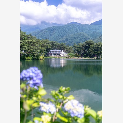 村のくまが撮影した「:albumName」の写真
