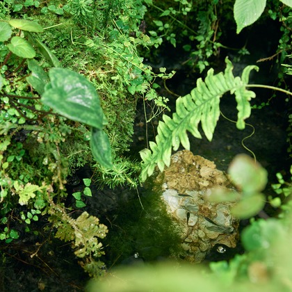 大内カオリが撮影した「:albumName」の写真