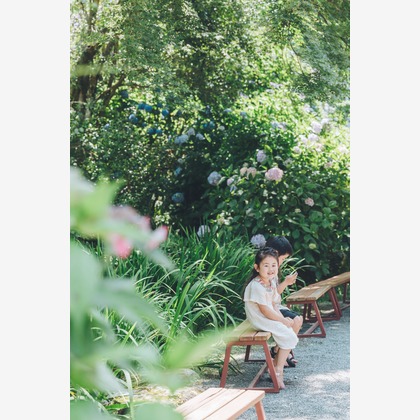 多田正子が撮影した「:albumName」の写真