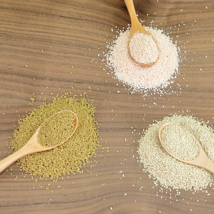 （株）建基が撮影した店舗/オフィス/サロン撮影/料理撮影/商品/物撮りの写真