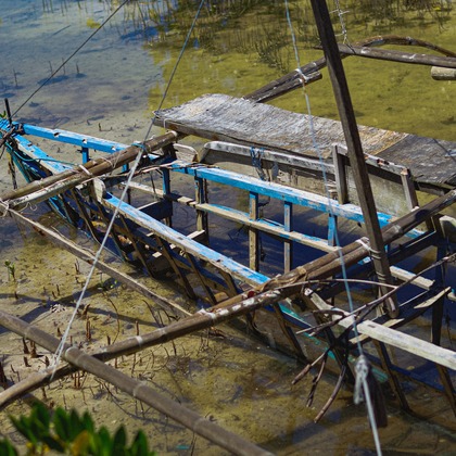 Katsuhiko Suzukiが撮影した「:albumName」の写真