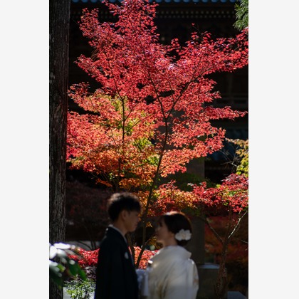 Photo of :albumName taken by THE CLIPS