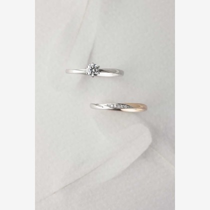 木村慎が撮影した商品/物撮りの写真