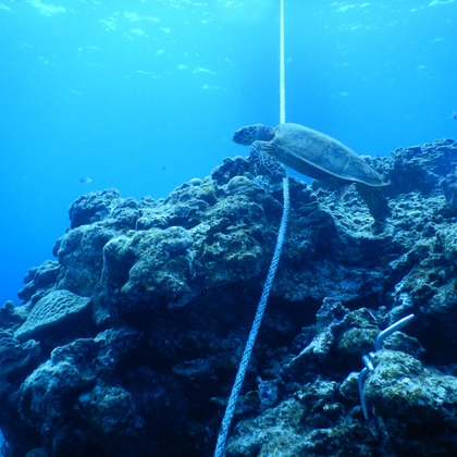 杉野優介が撮影した「:albumName」の写真