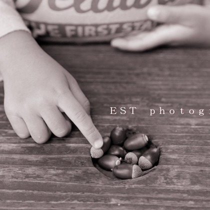 EST photographyが撮影した「フォトギャラリー」の写真