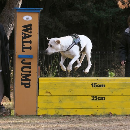 株式会社Photo Luckyが出張撮影した「ペット」の家族写真