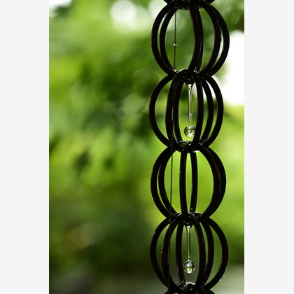 あまかど スタジオが撮影したその他の写真