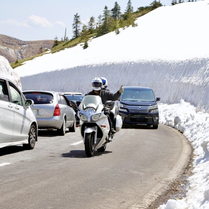 TSD officeが撮影したウェディングや家族、ビジネスの写真