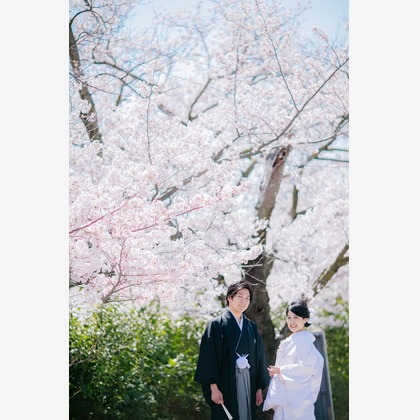 Tomi Photo Studioが撮影したウェディングや家族、ビジネスの写真