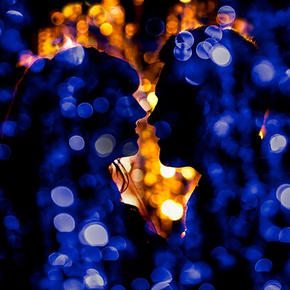 Steven Rooneyが撮影した「アメリカ」の写真