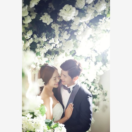 Wedding Howl (スタジオハウル)が撮影した「:albumName」の写真