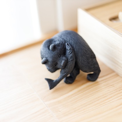 田口　裕貴が撮影した「:albumName」の写真