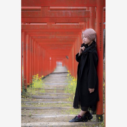 ならもとかずやが撮影した「:albumName」の写真