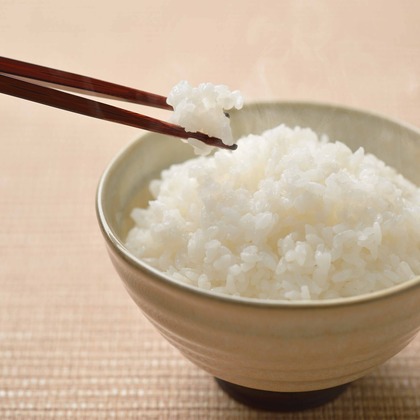 スタジオ11が撮影した「:albumName」の写真