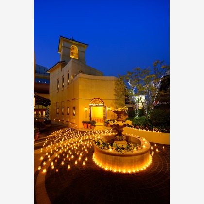 チッタウェディングが撮影したウェディングや家族、ビジネスの写真