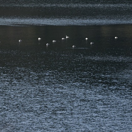 あまかど スタジオが撮影したその他の写真