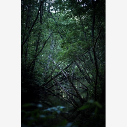 舘　典志が撮影したその他/イベント/スナップ撮影の写真