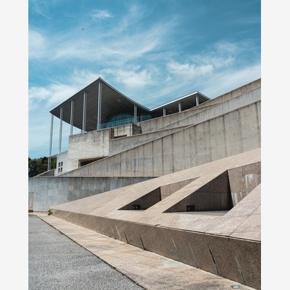 森本海斗が撮影した「:albumName」の写真