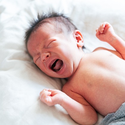 シコロハルナが撮影したニューボーンフォト/家族写真の出張撮影の写真