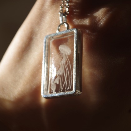 渡辺真央が撮影した「:albumName」の写真