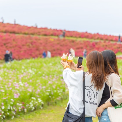長竹　進吾が撮影した「:albumName」の写真