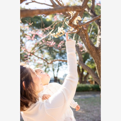 大森光太郎・K-PHOTOが撮影した「:albumName」の写真